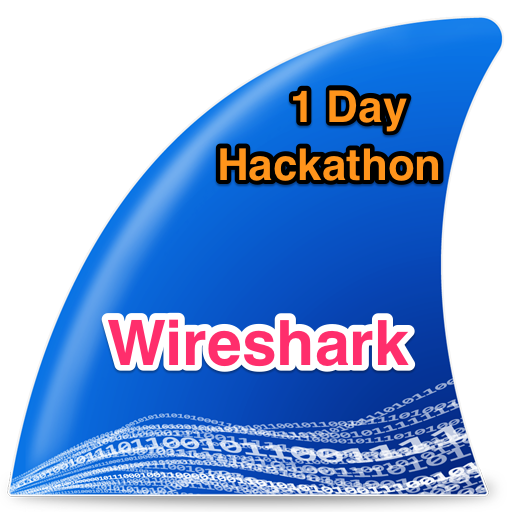 wireshark 1dhack