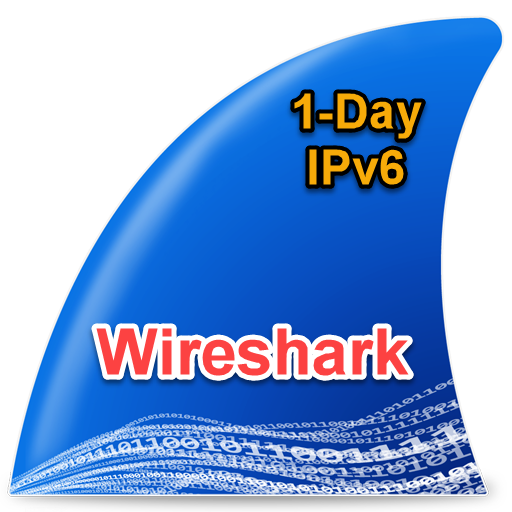 wireshark 1dvoice
