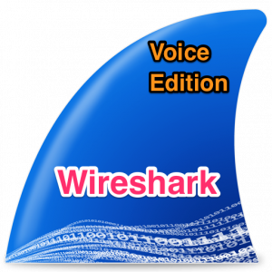 wireshark vceed