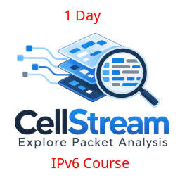 wireshark 1dvoice