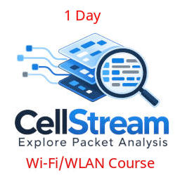 wireshark 1dvoice